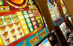 6686 bet