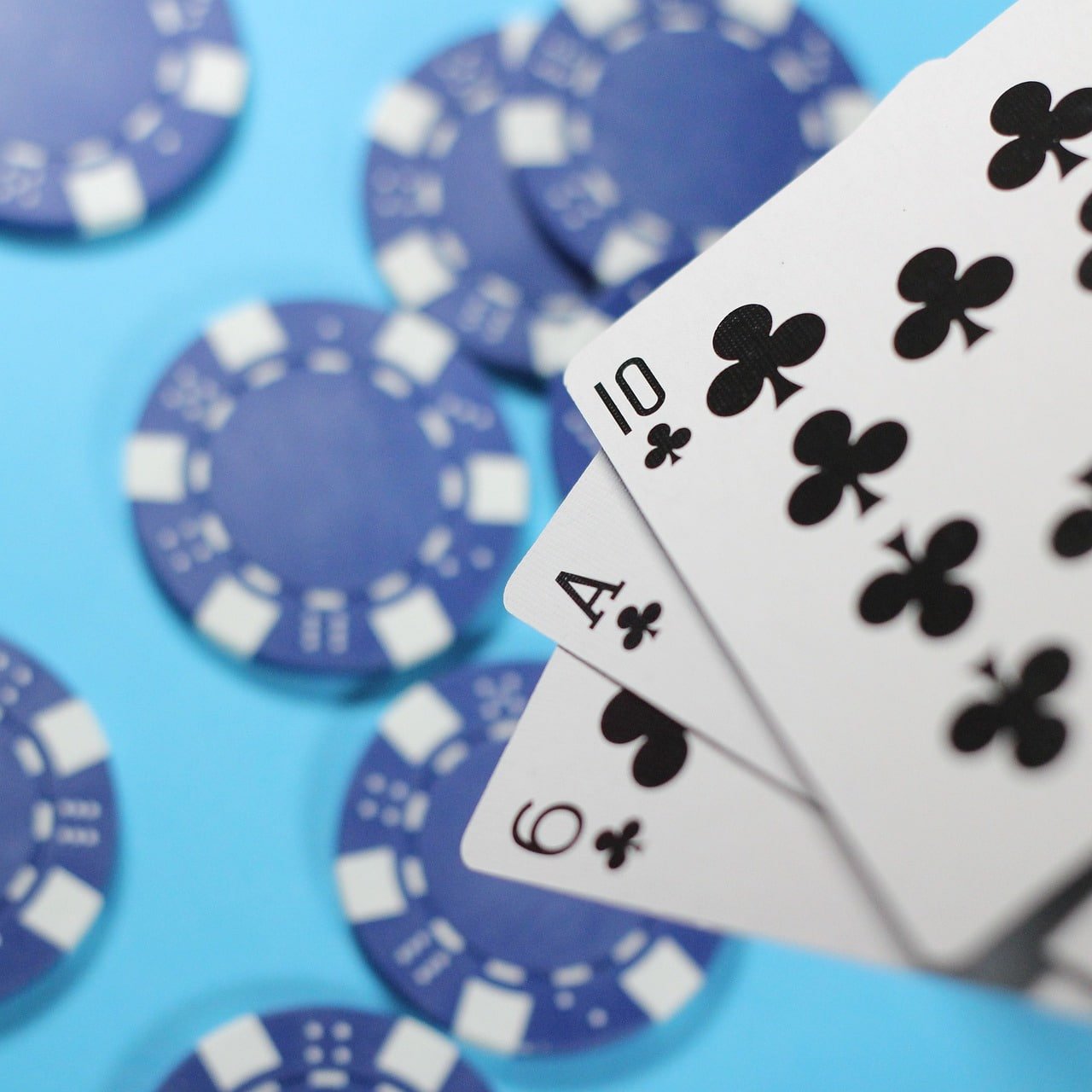 6686 bet